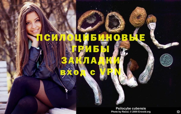 хмурый Балахна