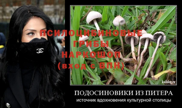 хмурый Балахна