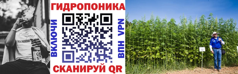 Бошки марихуана SATIVA & INDICA  mega зеркало  Белозерск 